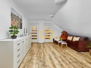 Prodej rodinného domu, Bušanovice - Horní Nakvasovice, 300 m2