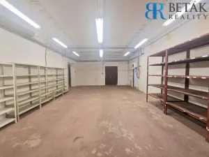 Pronájem obchodního prostoru, Přerov - Přerov II-Předmostí, Teličkova, 257 m2