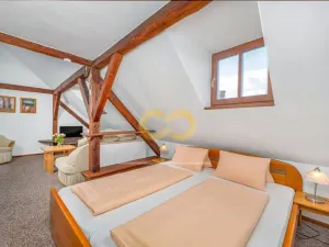 Prodej ubytování, Český Krumlov, Rooseveltova, 391 m2
