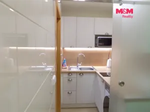 Prodej bytu 1+kk, Králův Dvůr - Počaply, Pod Dálnicí, 24 m2