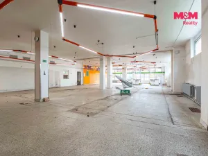 Prodej obchodního prostoru, Český Těšín, Slezská, 900 m2