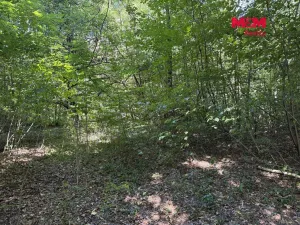 Prodej pozemku pro bydlení, Řepiště, 3402 m2