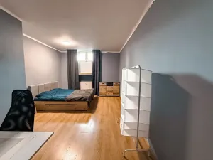 Pronájem bytu 3+kk, Praha - Žižkov, Žerotínova, 79 m2