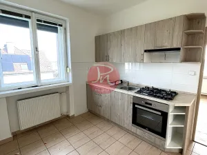 Pronájem rodinného domu, Ostrava, Sabinova, 230 m2