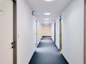 Pronájem kanceláře, Písek - Vnitřní Město, Alšovo nám., 200 m2