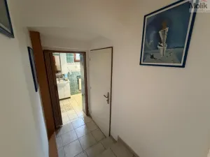 Pronájem vícegeneračního domu, Ústí nad Labem - Svádov, 28. října, 110 m2