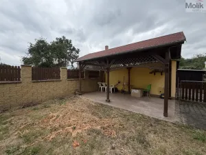 Pronájem vícegeneračního domu, Ústí nad Labem - Svádov, 28. října, 110 m2