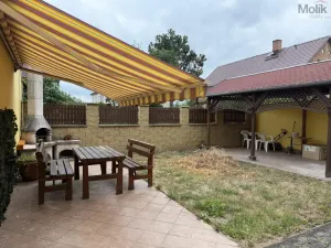Pronájem vícegeneračního domu, Ústí nad Labem - Svádov, 28. října, 110 m2