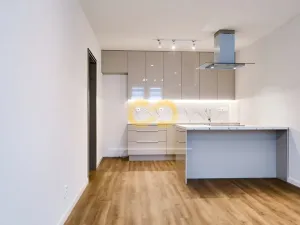 Pronájem bytu 2+kk, Písek - Vnitřní Město, Alšovo nám., 66 m2