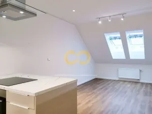 Pronájem bytu 2+kk, Písek - Vnitřní Město, Alšovo nám., 66 m2