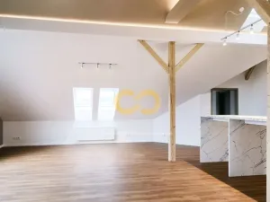 Pronájem bytu 2+kk, Písek - Vnitřní Město, Alšovo nám., 146 m2
