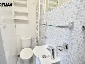 Pronájem bytu 1+kk, Hradec Králové - Pražské Předměstí, Jiřího Purkyně, 21 m2