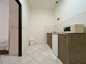 Pronájem bytu 1+1, Praha - Smíchov, U Santošky, 45 m2