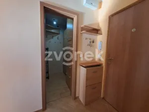 Pronájem bytu 2+1, Zlín, Družstevní, 48 m2