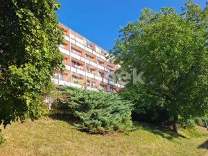 Pronájem bytu 2+1, Zlín, Družstevní, 48 m2