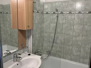 Pronájem bytu 2+1, Frýdek-Místek, J. E. Purkyně, 64 m2