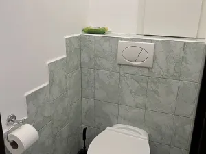 Pronájem bytu 2+1, Frýdek-Místek, J. E. Purkyně, 64 m2