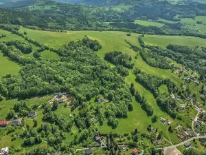 Prodej podílu pozemku pro bydlení, Zlatá Olešnice, 27729 m2