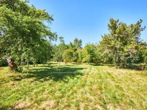 Prodej chalupy, Žimutice - Smilovice, 300 m2