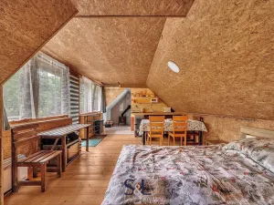 Prodej vícegeneračního domu, Horní Planá, 200 m2