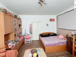 Prodej bytu 1+1, Cheb, Obětí nacismu, 42 m2