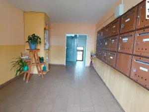 Pronájem bytu 1+1, Františkovy Lázně, Májová, 39 m2