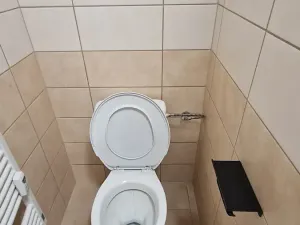 Pronájem bytu 1+kk, Teplice, Emilie Dvořákové, 28 m2