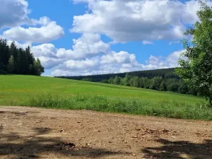 Prodej lesa, Hlavňovice, 5194 m2
