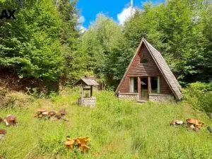 Prodej lesa, Hlavňovice, 5194 m2
