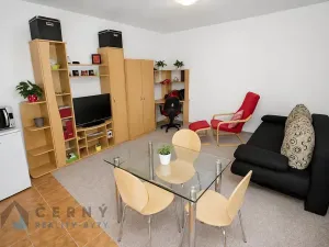 Pronájem bytu 1+kk, Liberec, Boženy Němcové, 28 m2