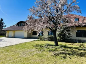 Prodej vícegeneračního domu, Olšany, 392 m2