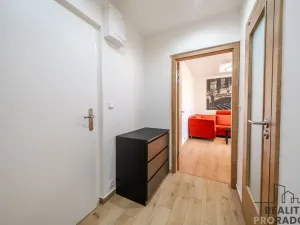 Pronájem bytu 2+kk, Ostrava - Hrabůvka, U Haldy, 38 m2