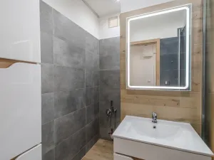 Pronájem bytu 2+kk, Ostrava - Hrabůvka, U Haldy, 38 m2