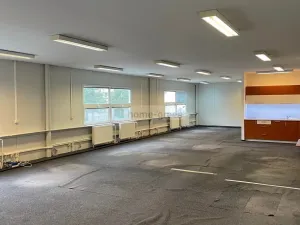 Prodej obchodního prostoru, Brno - Královo Pole, Božetěchova, 700 m2