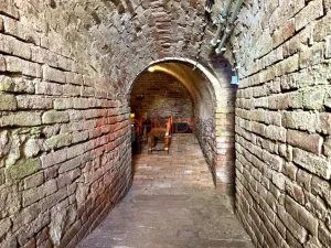 Prodej vinného sklepa, Zaječí, Hlavní, 6 m2