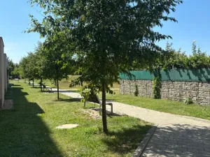Pronájem bytu 1+kk, Brno, Kigginsova, 37 m2
