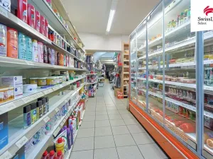 Prodej rodinného domu, Blovice, Americká, 260 m2