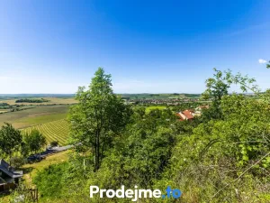 Prodej pozemku pro bydlení, Viničné Šumice, 7165 m2