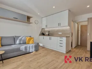 Pronájem bytu 1+kk, Plzeň - Jižní Předměstí, Raisova, 27 m2