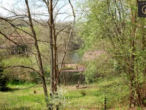 Prodej pozemku pro bydlení, Hrusice, Hubačovská, 3055 m2