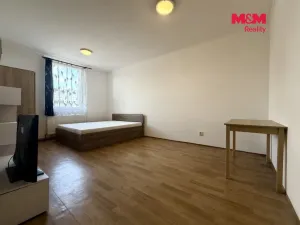 Pronájem bytu 1+1, Strakonice - Strakonice II, Holečkova, 37 m2