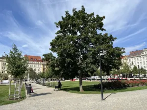 Pronájem bytu 2+1, Praha - Žižkov, Blodkova, 63 m2