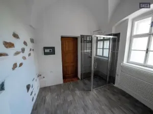 Prodej zemědělského objektu, Vlasatice, 5889 m2