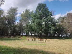 Prodej pozemku, Hořice na Šumavě - Mýto, 2722 m2