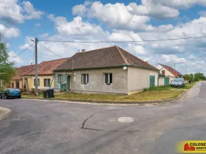 Prodej rodinného domu, Pravice, 90 m2