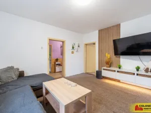 Prodej rodinného domu, Pravice, 90 m2
