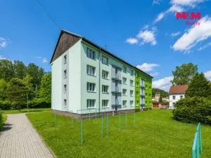 Prodej bytu 3+1, Kraslice, Družstevní, 62 m2