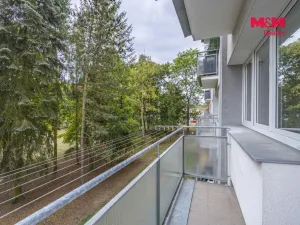 Prodej bytu 3+1, Hradec Králové - Slezské Předměstí, Severní, 57 m2