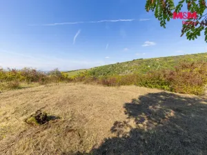 Prodej zahrady, Židlochovice, 3718 m2
