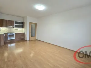 Pronájem bytu 2+kk, Praha, Černochova, 48 m2